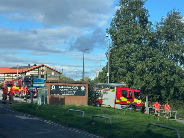 Firefighters assisted the RSPCA at the scene