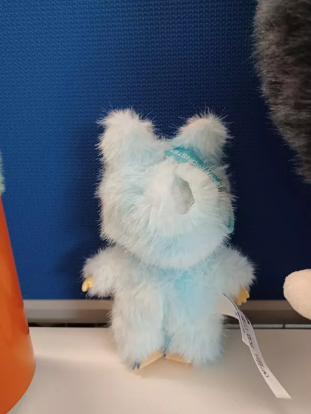 One of the toys seized in Wigan