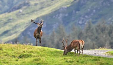 A big adventure on a wee ship in Scotland’s Inner Hebrides