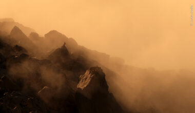 Alpine Dawn | Wildlife Photographer of the Year