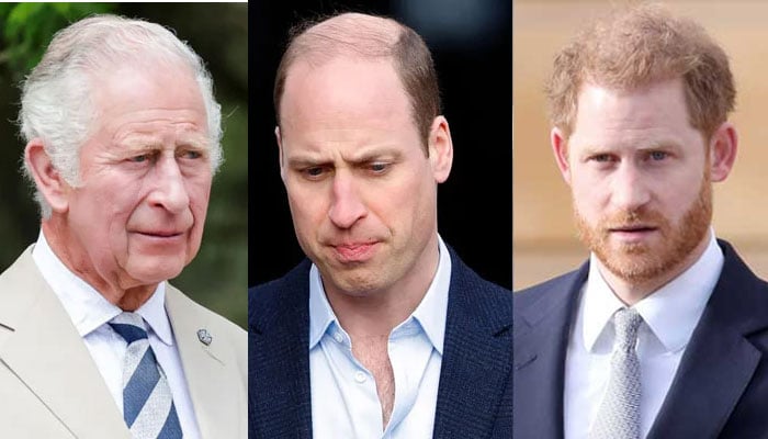 King Charles promises his eldest something big when it comes to Prince Harry