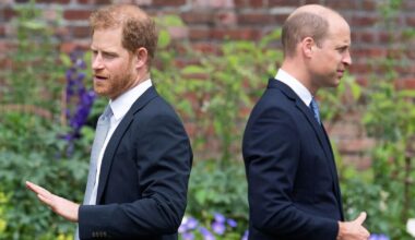 Prince Harry and William should reunite - and not for their dad | Royal | News