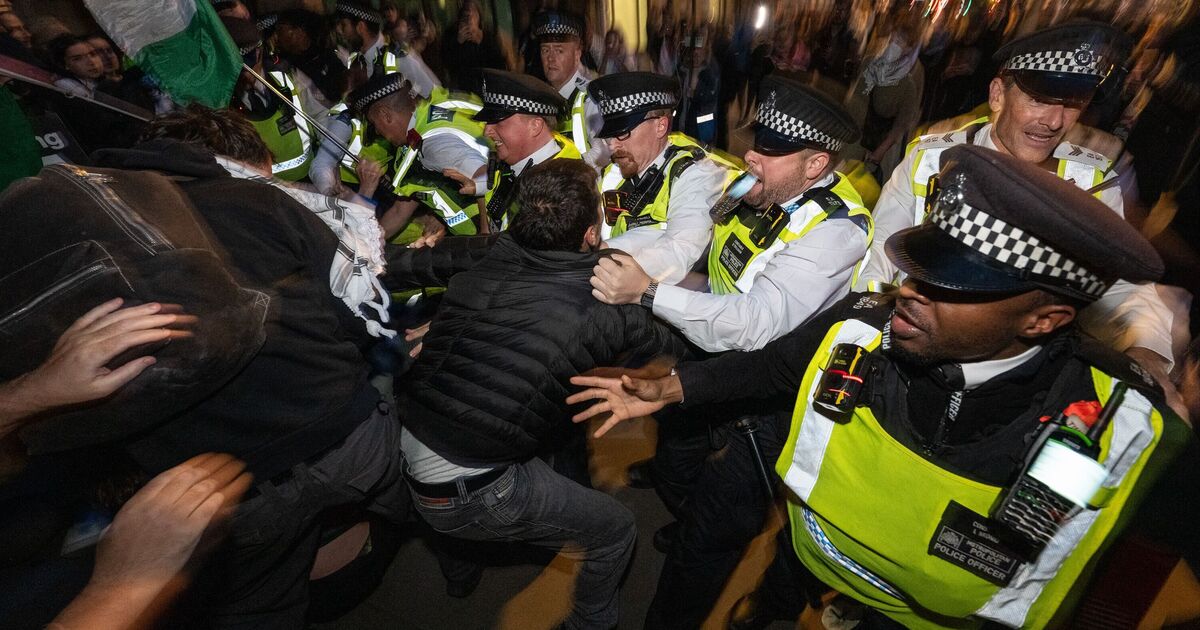 Pro-Gaza protesters clash with police outside Downing Street | UK | News