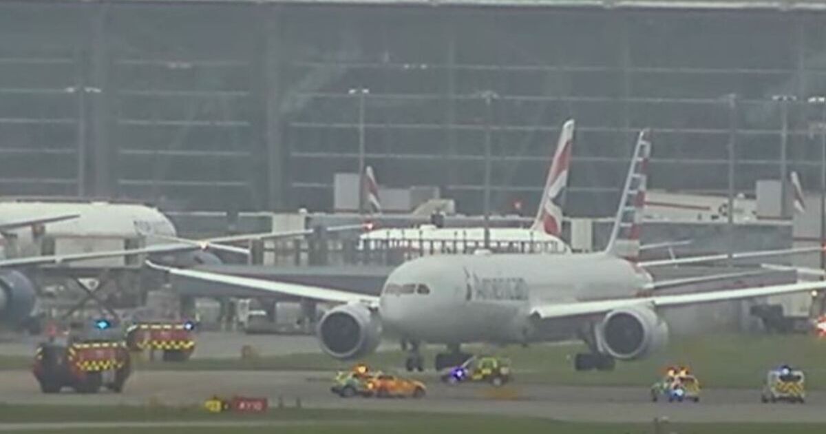 Heathrow flight surrounded by police and ambulances on runway | UK | News