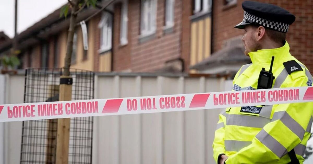 London bloodbath as teenager fights for life after knife attack | UK | News