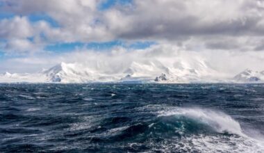 Current 'five times stronger' than Gulf Stream sparks global disaster fears after slowdown | Science | News
