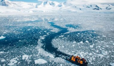 Antarctica breakthrough as AI helps discover 'creatures never seen before' | World | News