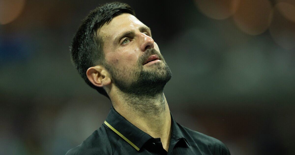 Novak Djokovic mural defaced as Serb 'moves family to another country' | Tennis | Sport