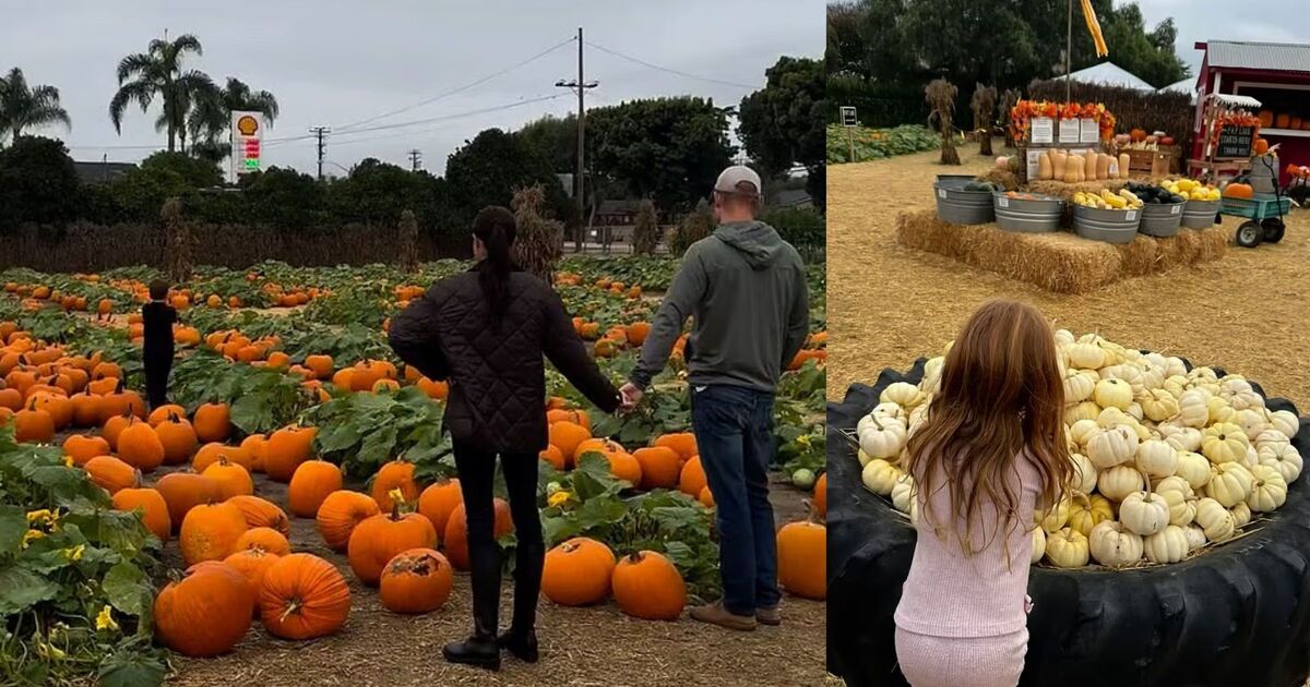 Meghan Markle shares adorable video of Archie and Lilibet with Harry | Royal | News