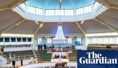 Big-name racing owners set to splash the cash at Tattersalls auction | Horse racing