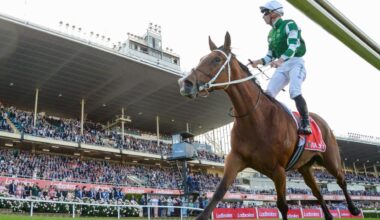 Cox Plate 2025 form guide, predictions, full field, horses, odds, start time, who is the favourite, Via Sistina, Treasurethe Moment, Antino