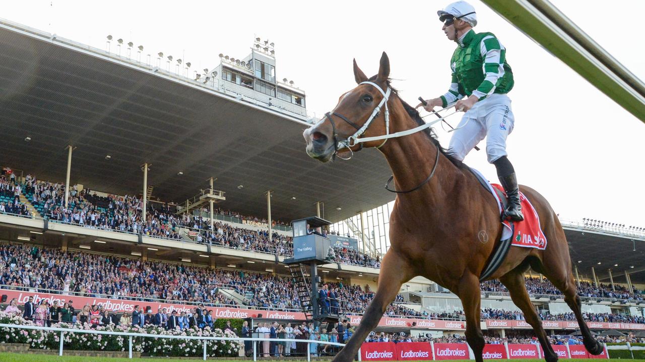 Cox Plate 2025 form guide, predictions, full field, horses, odds, start time, who is the favourite, Via Sistina, Treasurethe Moment, Antino