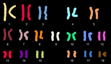 A genetic anomaly linked to infertility was a puzzle. Scientists solved it.
