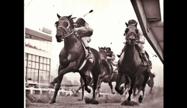 Green Mountain race track site is scheduled for auction | State