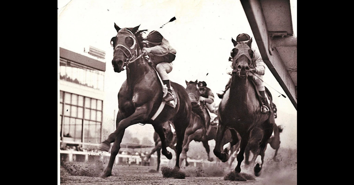 Green Mountain race track site is scheduled for auction | State