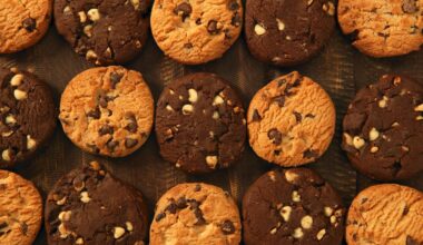 United States Biscuits Market to Reach US$ 31.43 Billion by 2033, Driven by Healthier Snacking, Premiumization, and E-commerce Growth