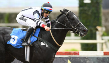 Emmspacial Boy will look to shine again, even with a heavy load on his back
