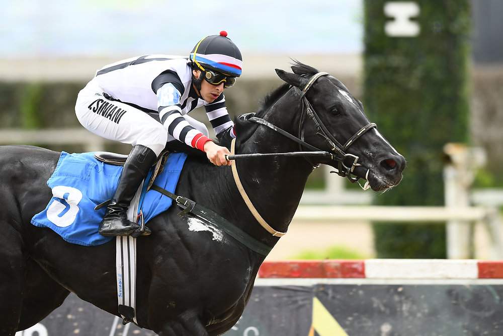 Emmspacial Boy will look to shine again, even with a heavy load on his back