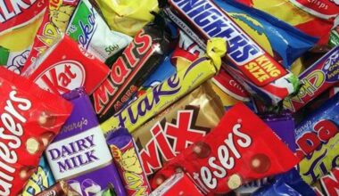 Extra year delay to EU law will increase deforestation, chocolate firms warn