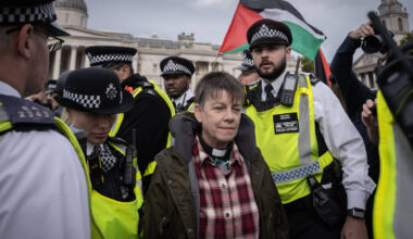 Police make 175 arrests as pro-Palestine protests get underway - despite government pleas