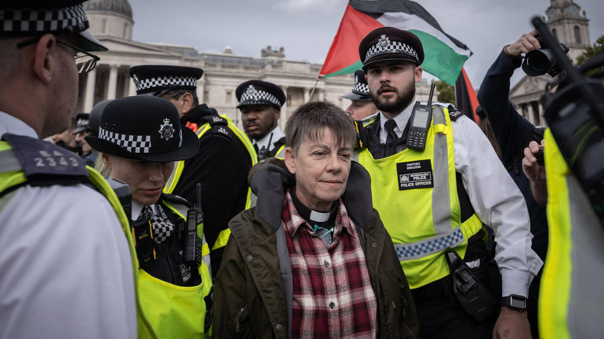 Police make 175 arrests as pro-Palestine protests get underway - despite government pleas