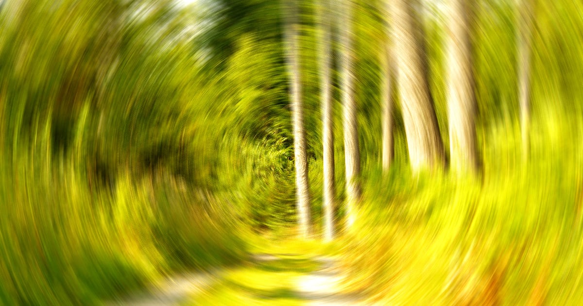 EUDR timeline: Delays, U-turns and backflips