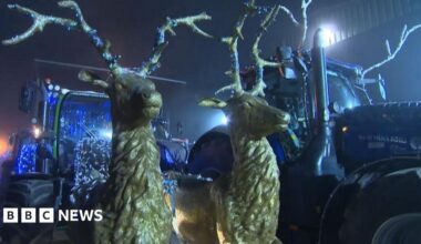 Two gold reindeer figures attached to a tractor as part of a Christmas parade display