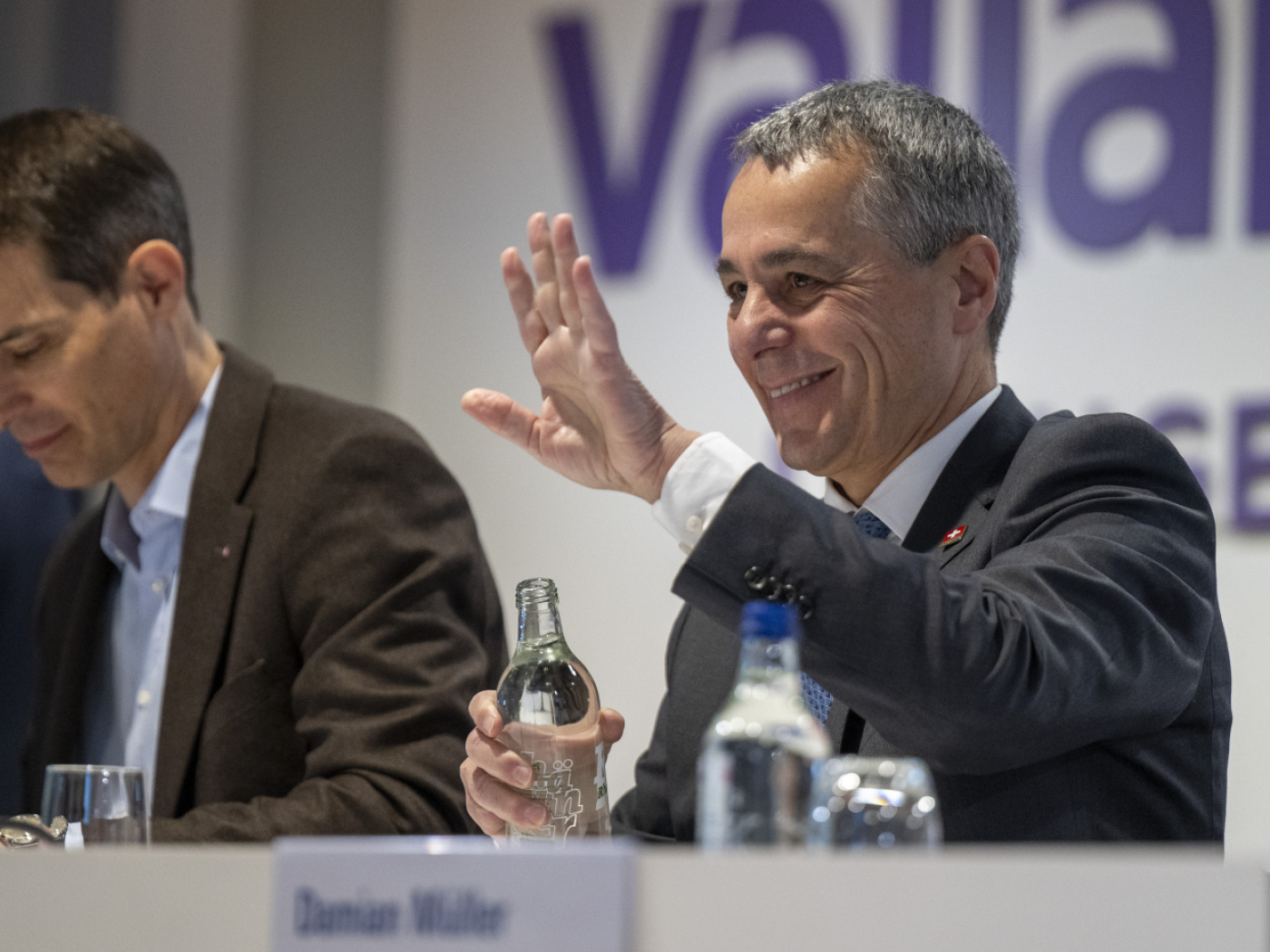 FDP backs EU treaties