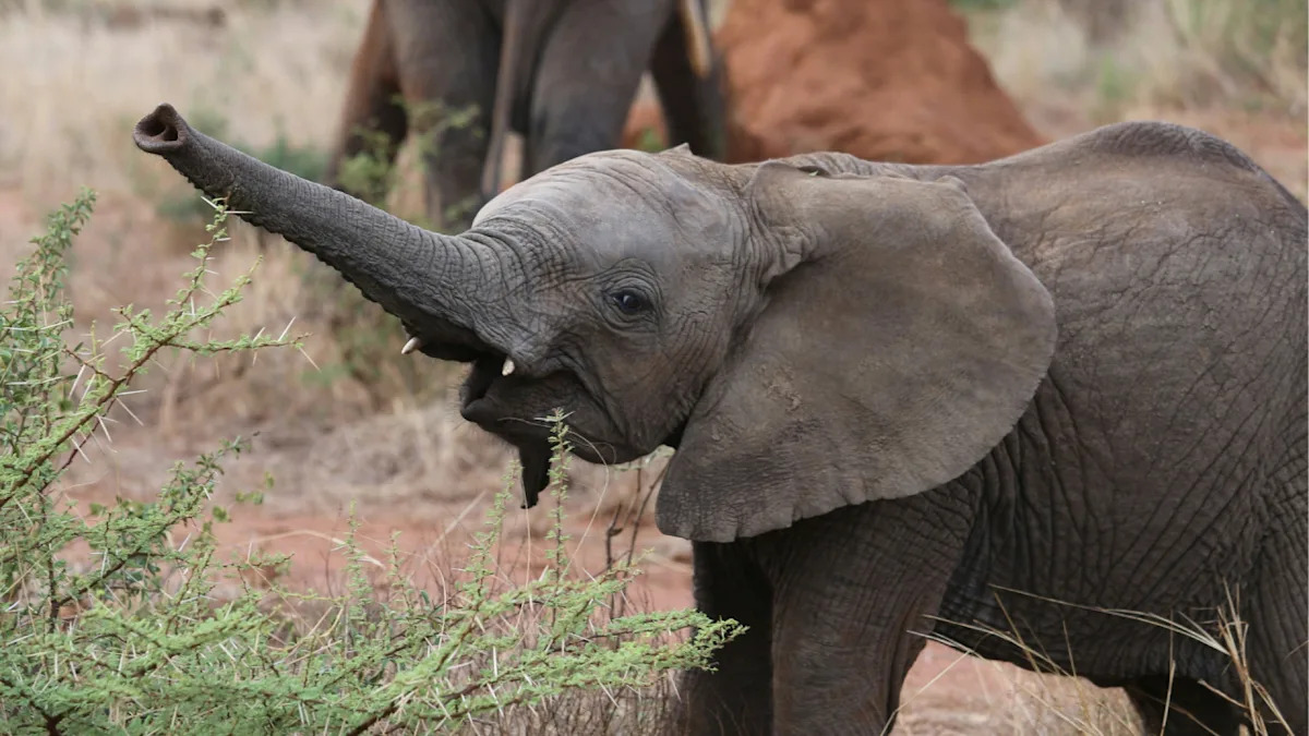 Yahoo lifestyle home