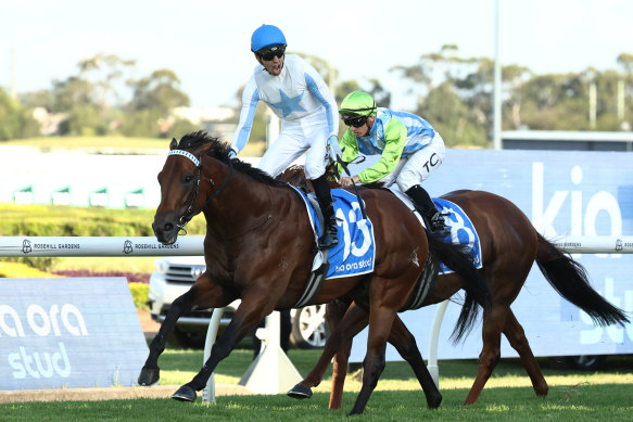 Ash Morgan salutes on Private Harry in their group 1 Galaxy win on March 22.
