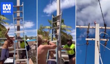 Mates channel MacGyver in rescue of galah trapped in power pole in WA's north