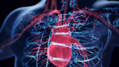 Heart disease alert: Over 99% of heart conditions signal trouble early—here’s what to watch