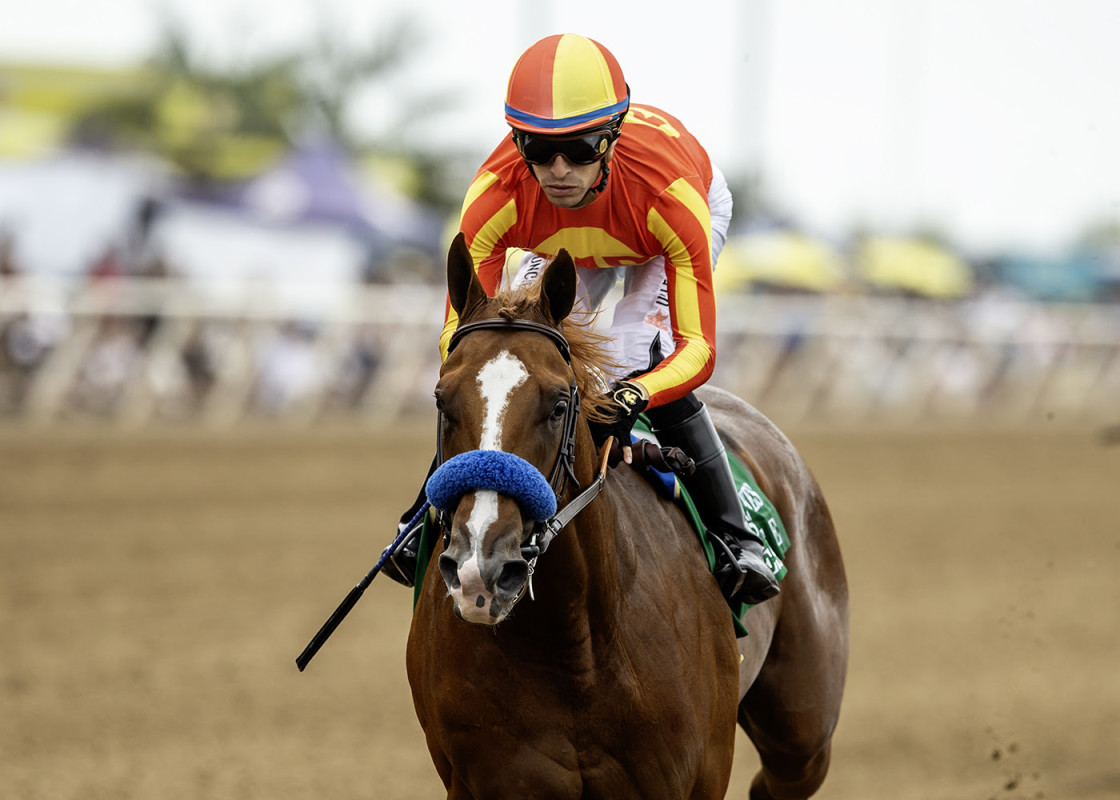 Download app from appStore