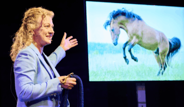 Relaxed Leadership GmbH Launches WINARO Trust-Based Leadership Program and New Book