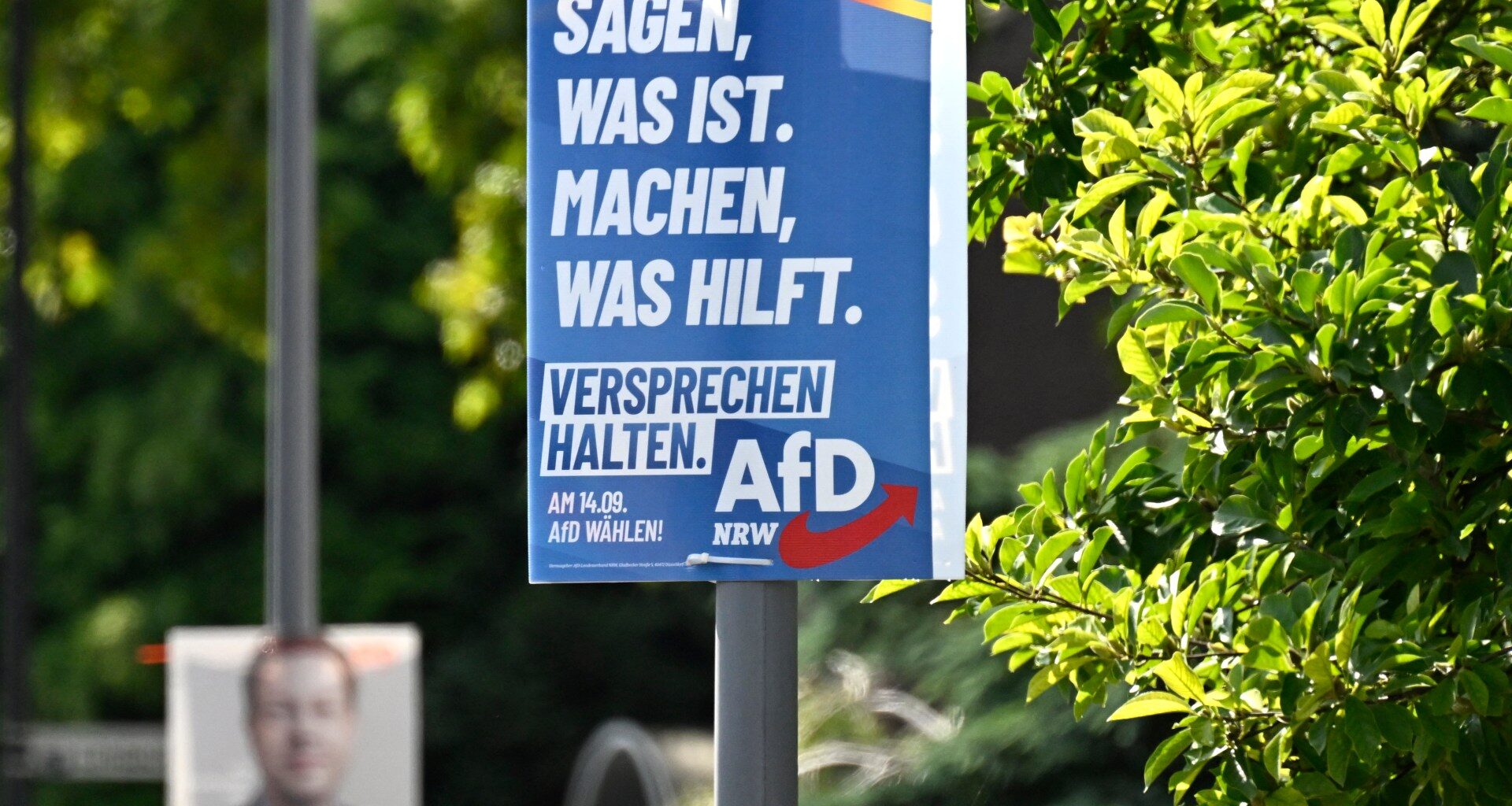 Far-right AfD party may win first German city mayor post in run-off vote | Elections News