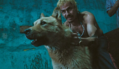 Celebrating Alejandro Iñárritu’s debut film “Amores Perros”