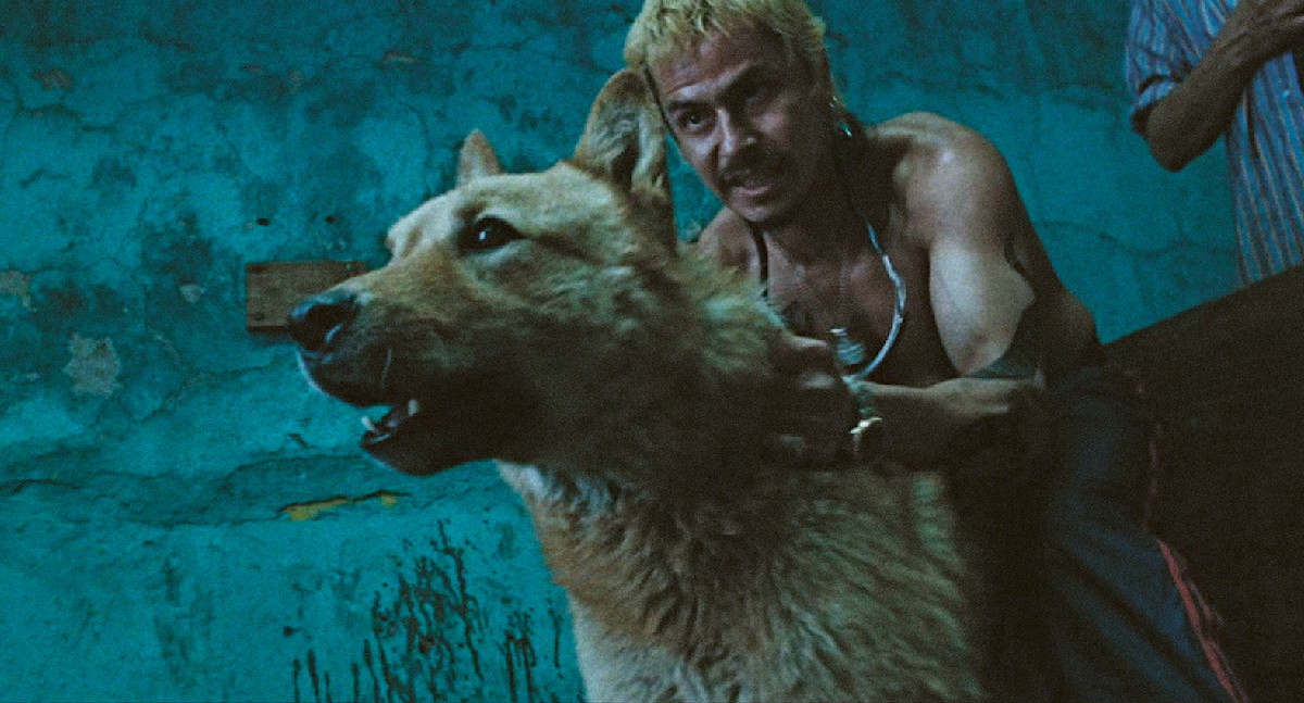 Celebrating Alejandro Iñárritu’s debut film “Amores Perros”