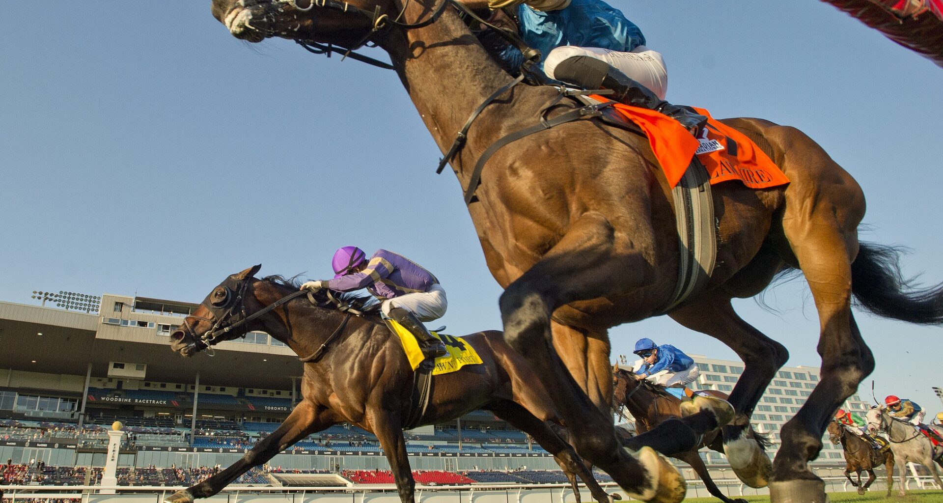 Silawi and jockey Faleh Bughenaim winning the Canadian International on October 4, 2025 at Woodbine (Michael Burns Photo)