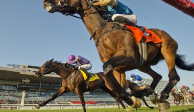 Silawi and jockey Faleh Bughenaim winning the Canadian International on October 4, 2025 at Woodbine (Michael Burns Photo)