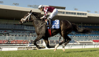 Cy Fair romps to Algonquin score