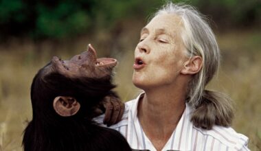 Jane Goodall dies: Chimpanzee expert and environmental advocate’s final message