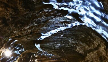 After 40,000 Years, Microbes Are Awakening From Thawing Permafrost : ScienceAlert