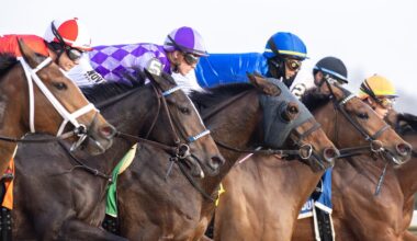 Equibase's New Ratings System Launches Saturday. Is It Ready?