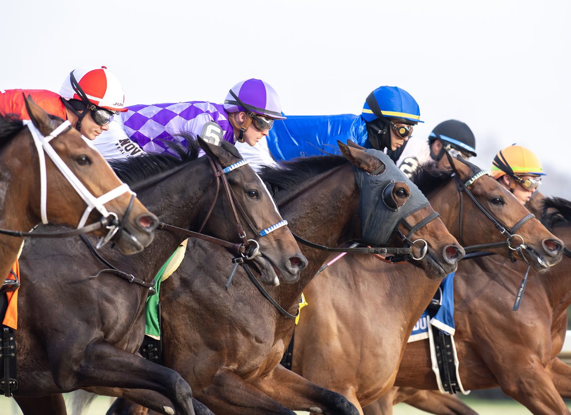 Equibase's New Ratings System Launches Saturday. Is It Ready?