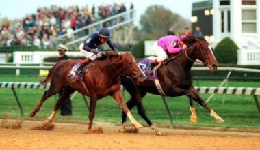 Tiznow, the Two-Time Breeders' Cup Winner and Beacon of Hope After Sept. 11
