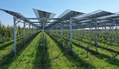 AgriPV projects in Spain now eligible for farming subsidies