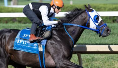 Bentornato Breezes Ahead Of Breeders' Cup Sprint
