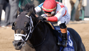 Bentornato Breezes at Keeneland in preparation for BC Sprint