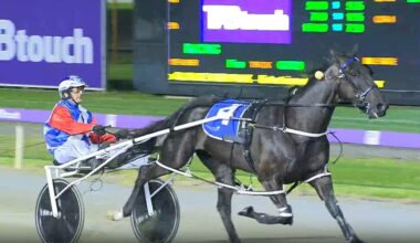 Gloucester Park Harness Racing