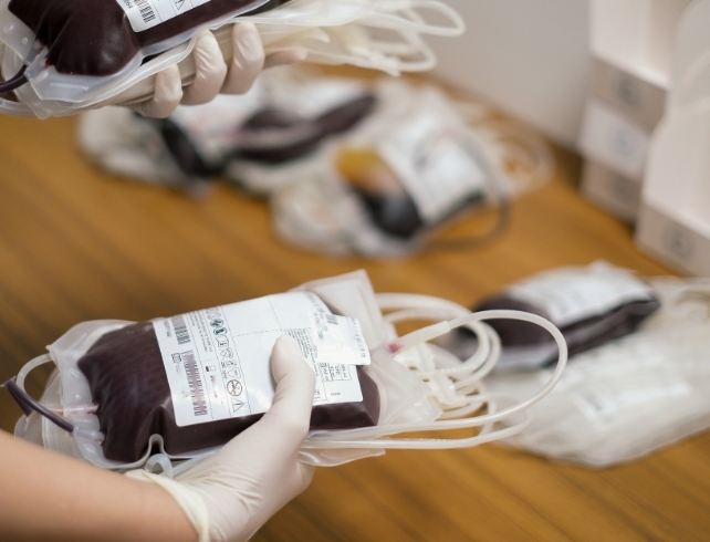 Nurse holding bags of blood for transfusion